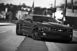 重塑辉煌!上海申花,新赛季,新征程,新梦想! 重塑辉煌!上海申花,新赛季,新征程,新梦想!